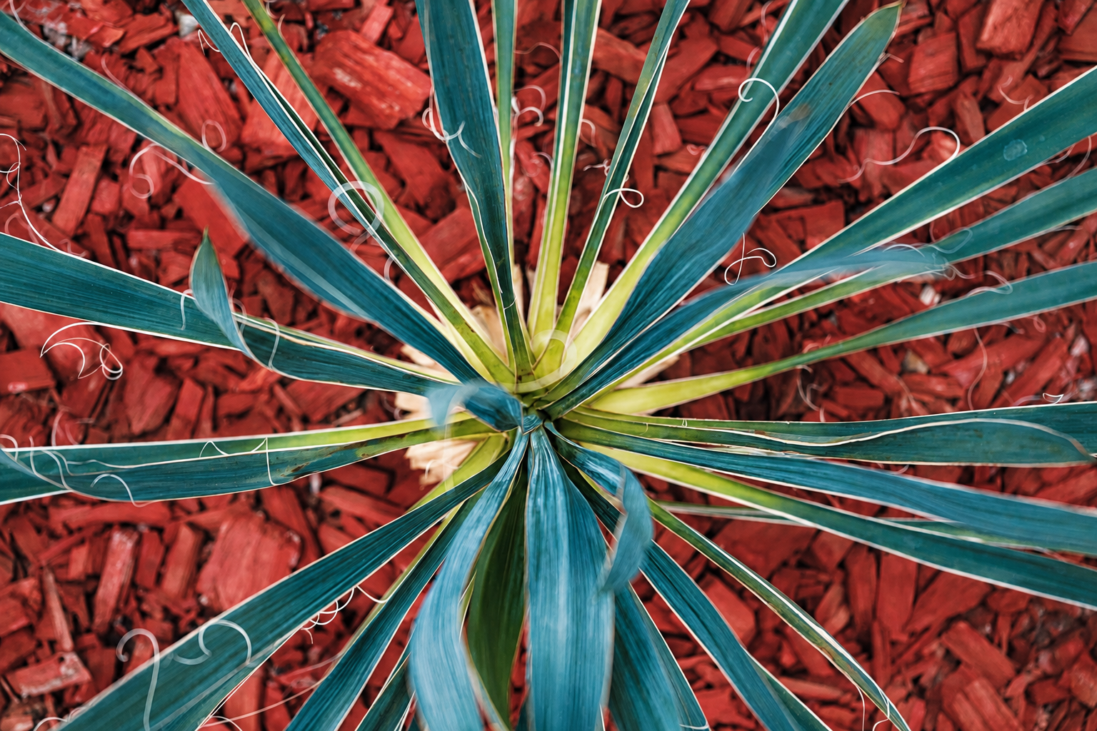 Portafolio LYMZA — Gran Emisario, Emisario y Escarlata, tequilas premium de Jalisco